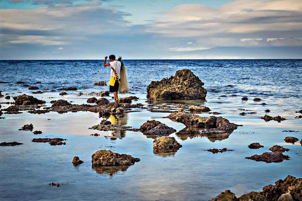 Photograph by Mary France Diaz