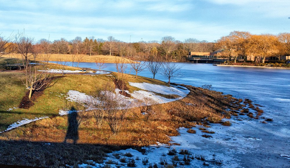 Autportrait in the park
