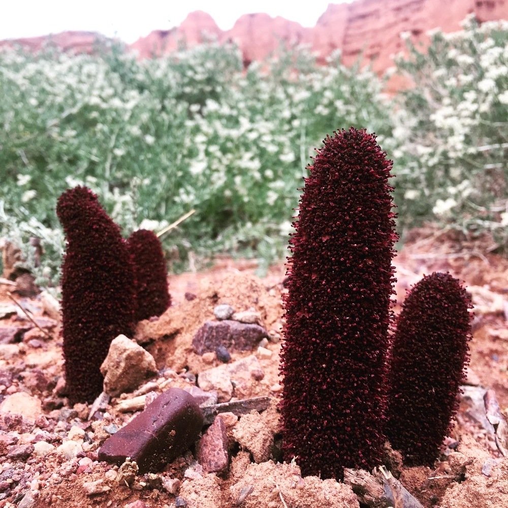 Photograph by Зинаида Славная