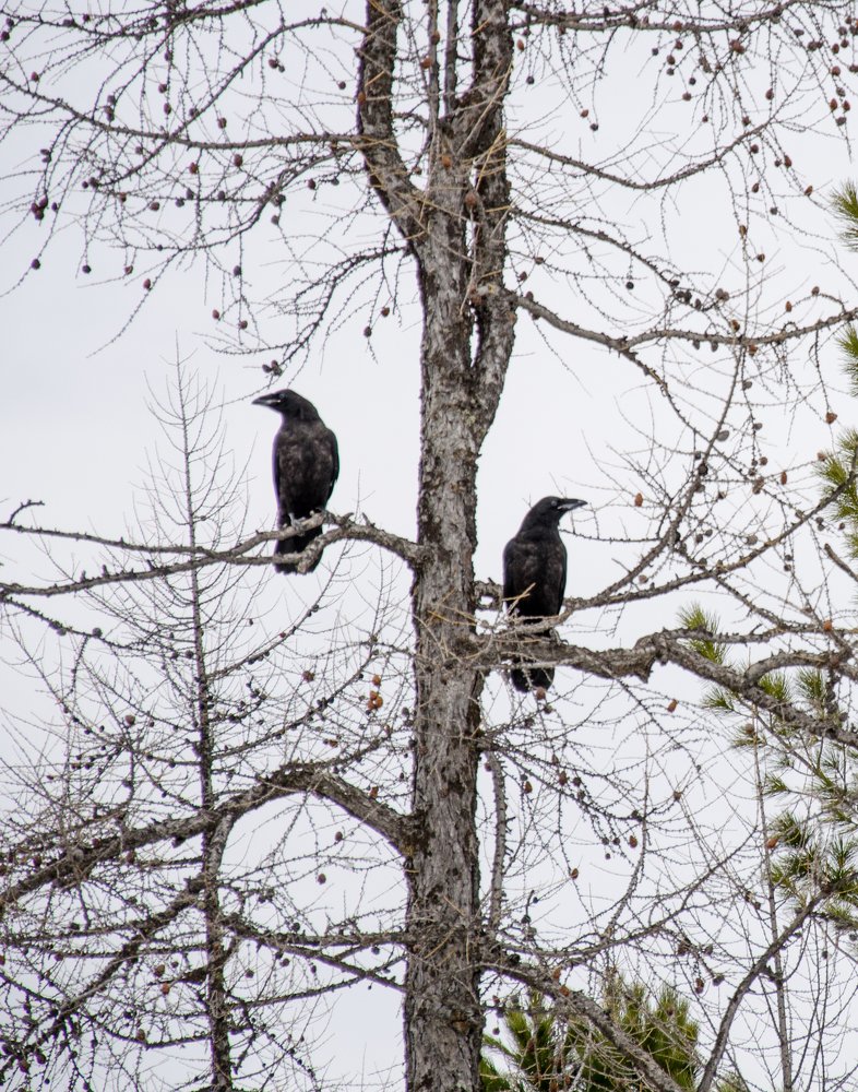 Photograph by Рузаев Дмитрий