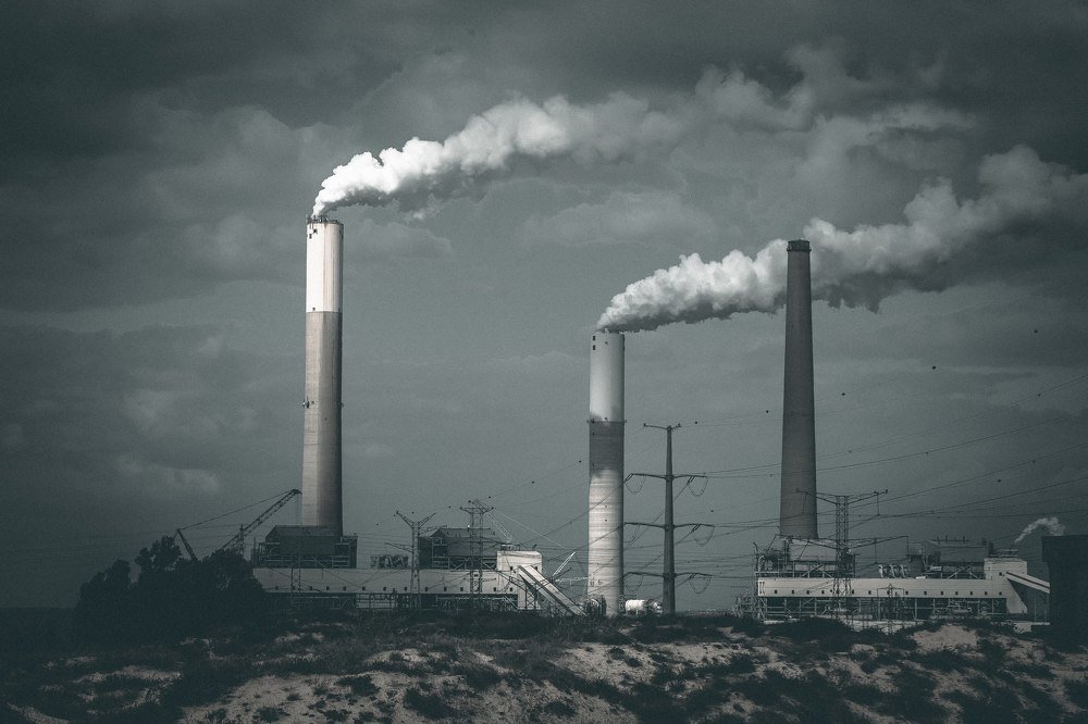 Photograph by Artur Tsvaygenbaum