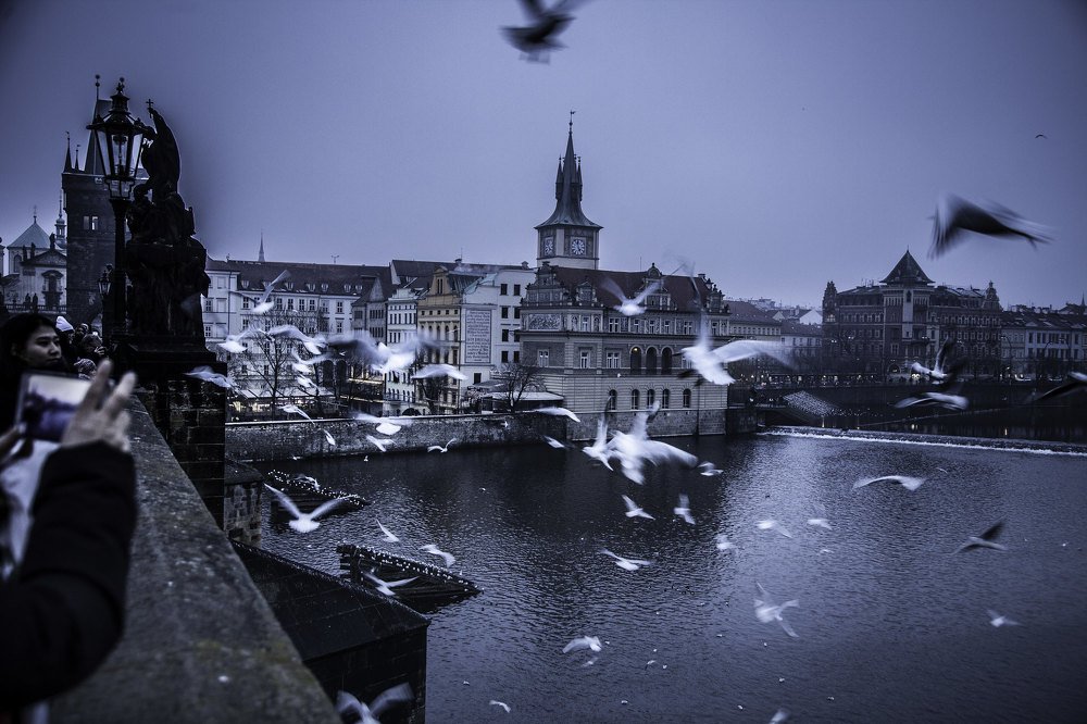 Photograph by Artur Tsvaygenbaum