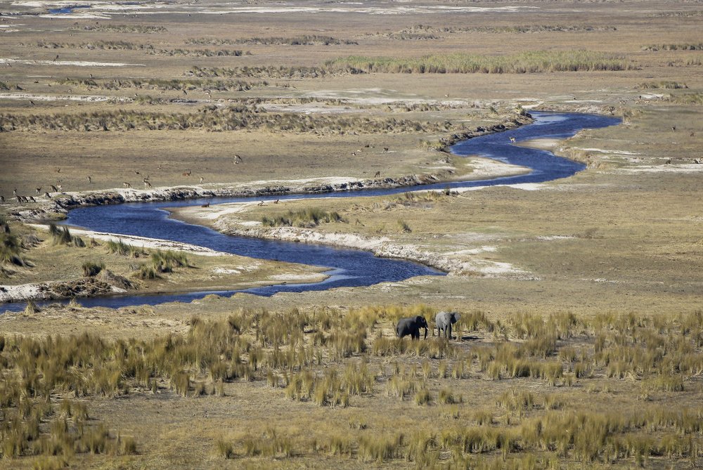 Okavango Beauty