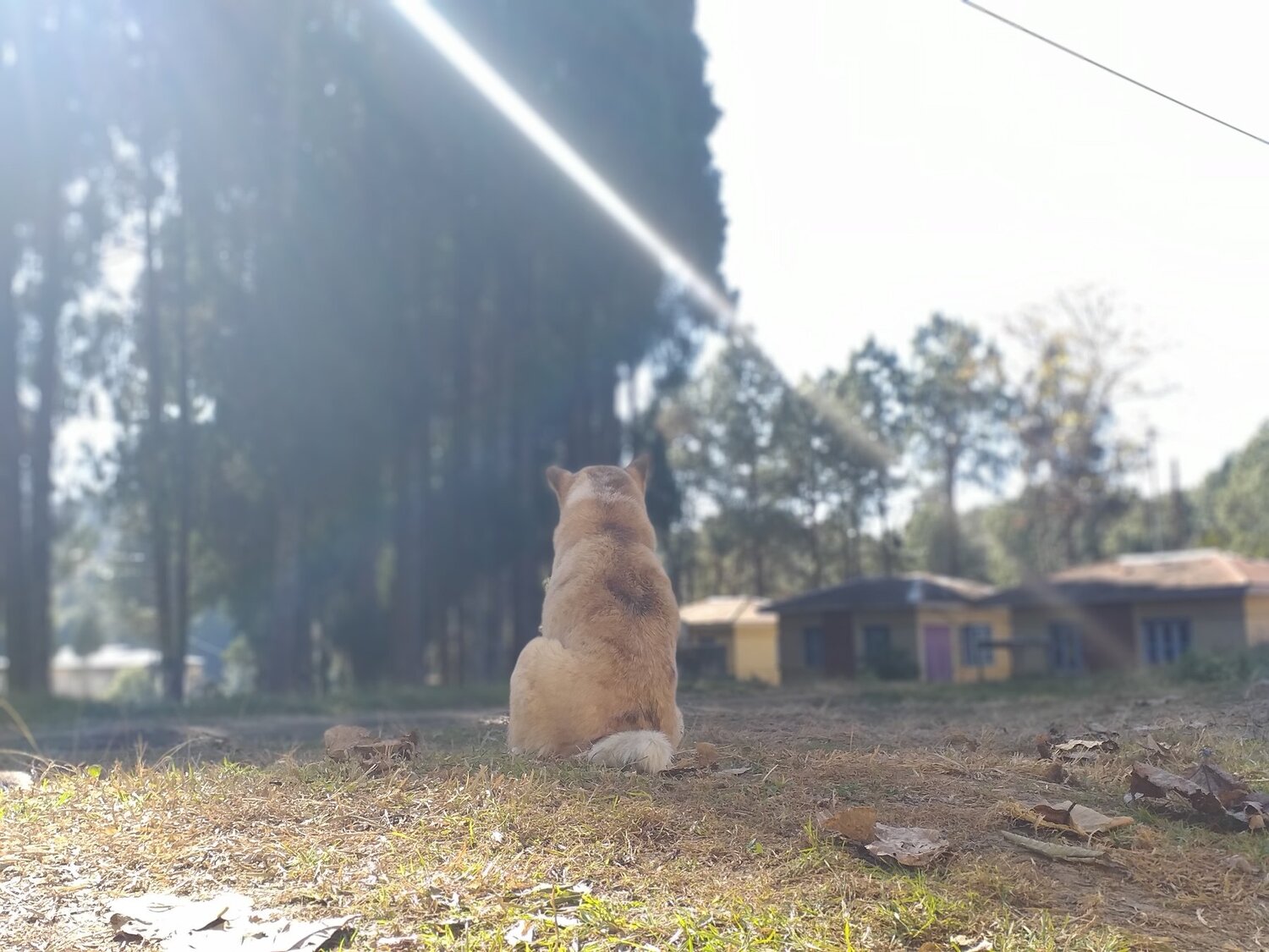 Photo #4248426
