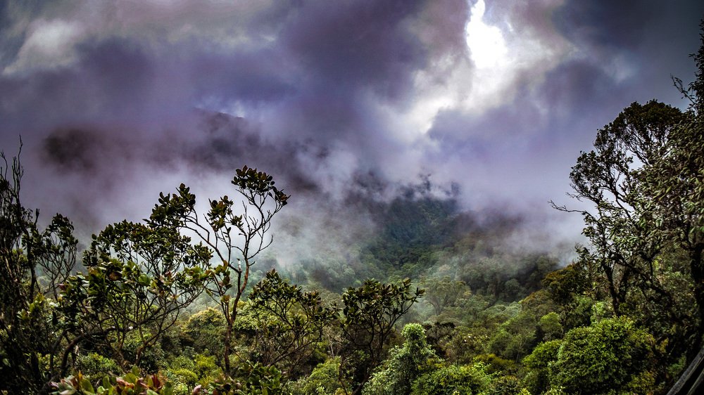 Photograph by Pooi Meng Chan