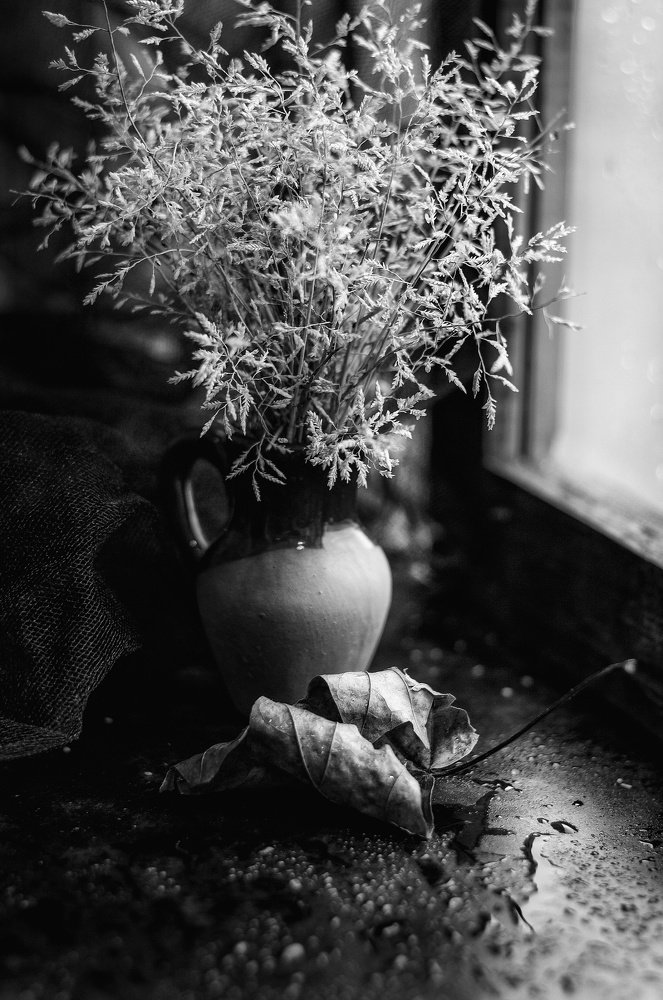 Photograph by Юлия Макаренко