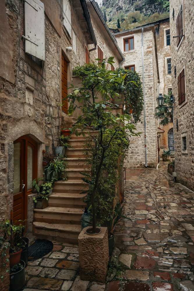 Photograph by Ирина Малина