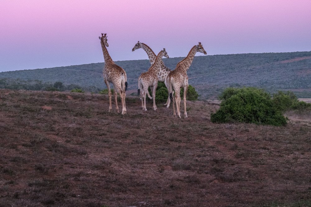 Photograph by Victor Belokrinitski