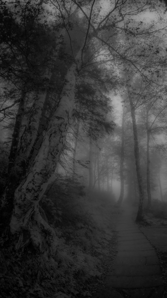 Photograph by Pooi Meng Chan