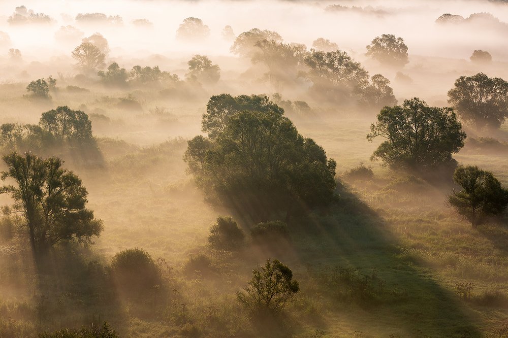 Фотография автора Юрий Сорокин