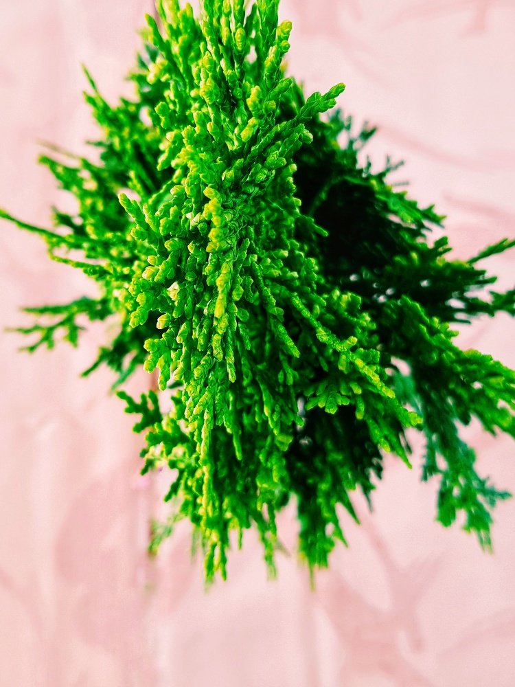 Фотография автора DORIS KARTEY