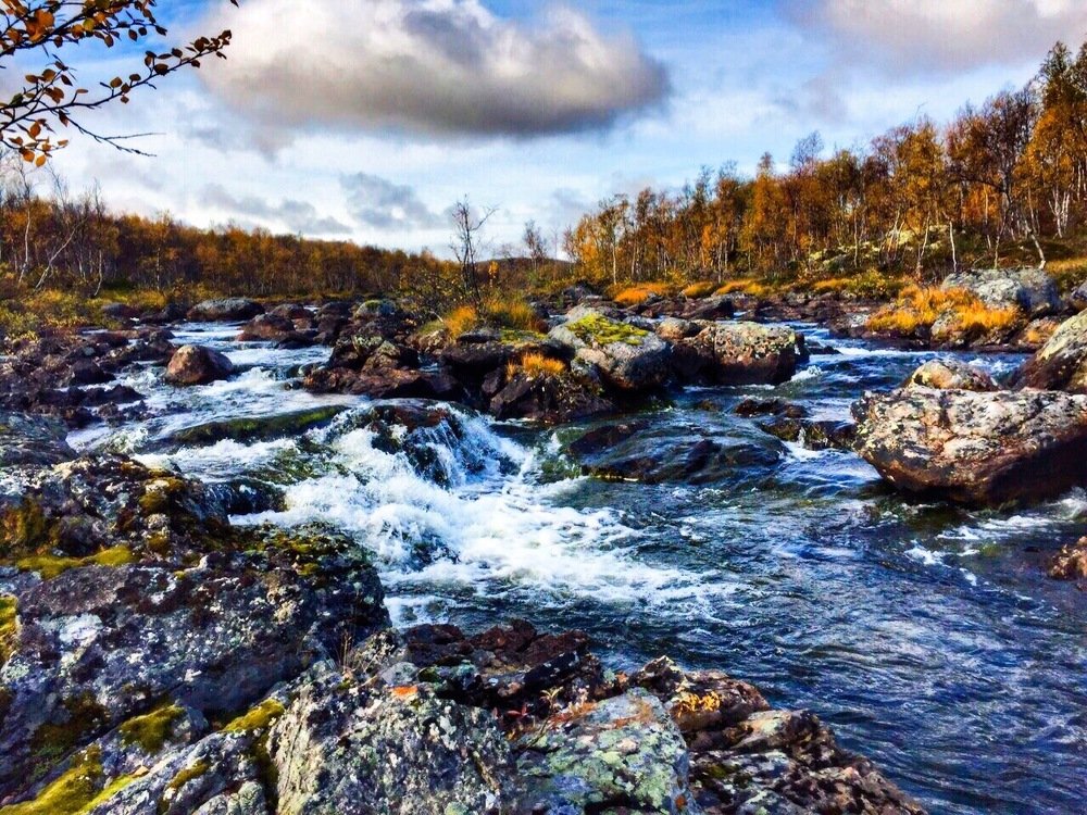 Photograph by Алексей