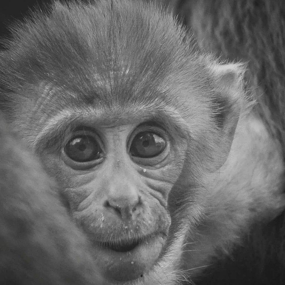 Photograph by Imran Bhatti
