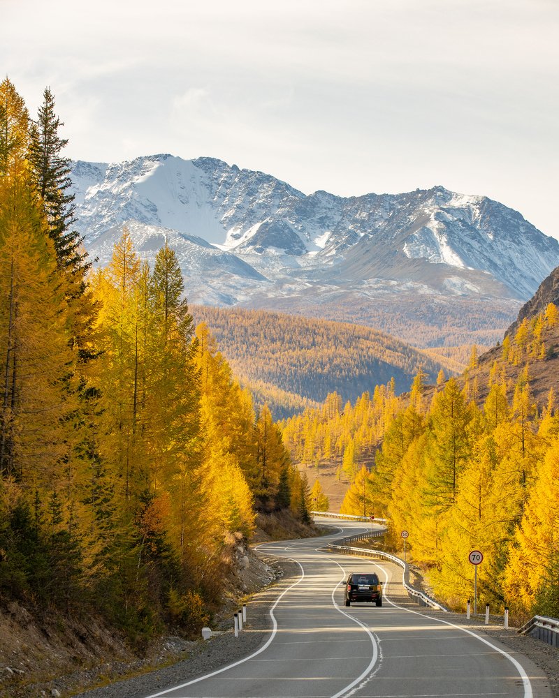 Photograph by Алексей Кустов