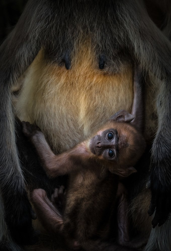 Photograph by kaushik Vijayan
