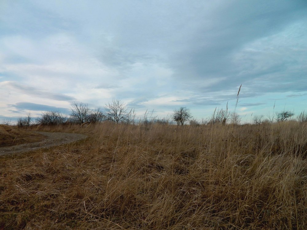 Photograph by Сергей Рапопорт