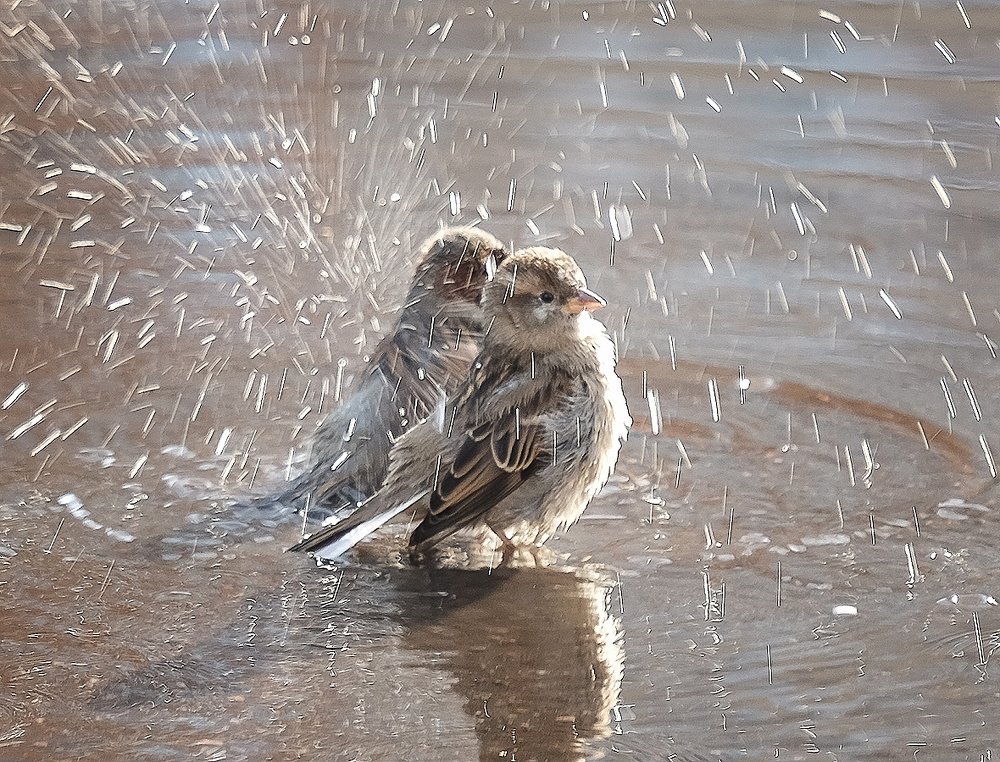 Солнечный денек