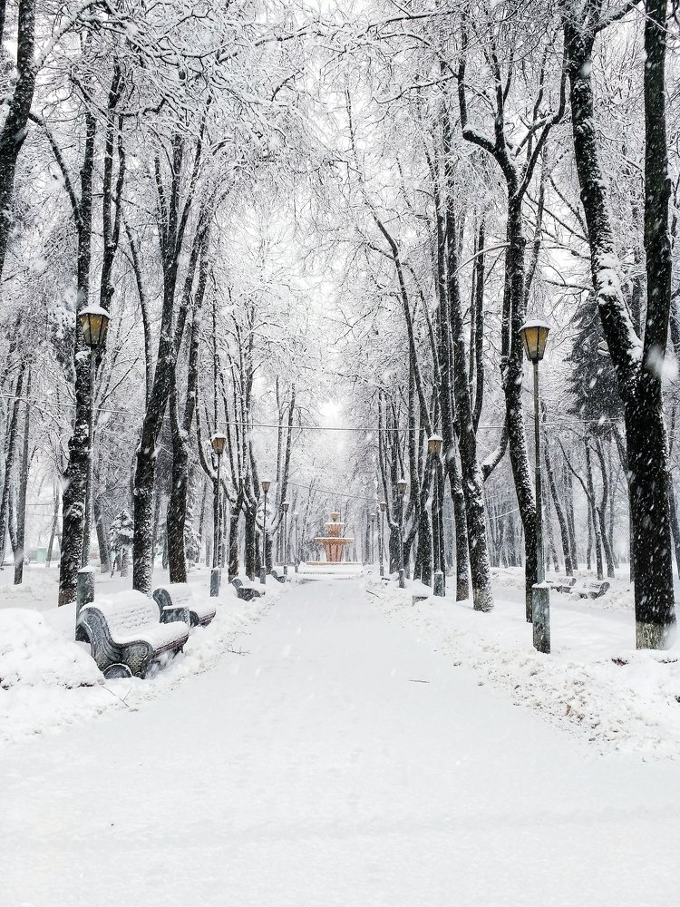 Photograph by Наталья Рюрикова