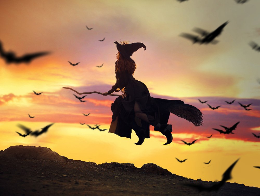 Фотография автора Алина Иванова