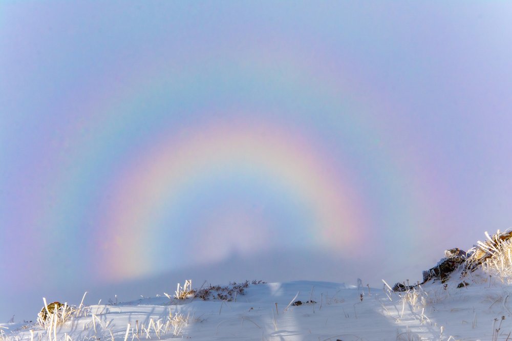 Photograph by Василий Шумкин