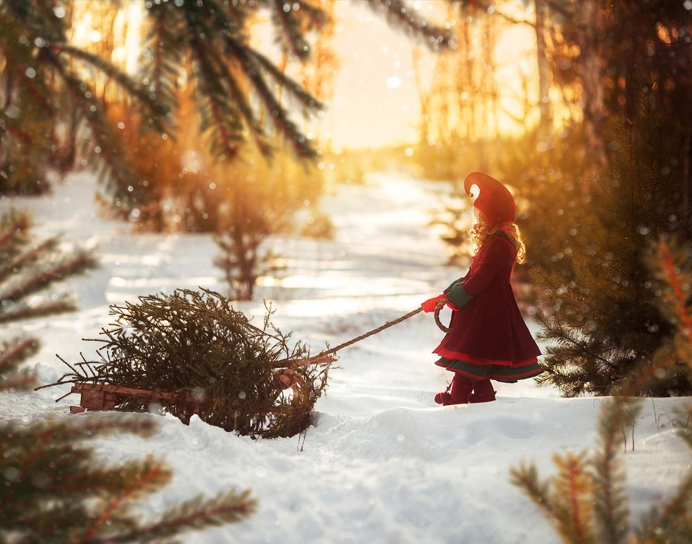 Один  день из жизни гномов