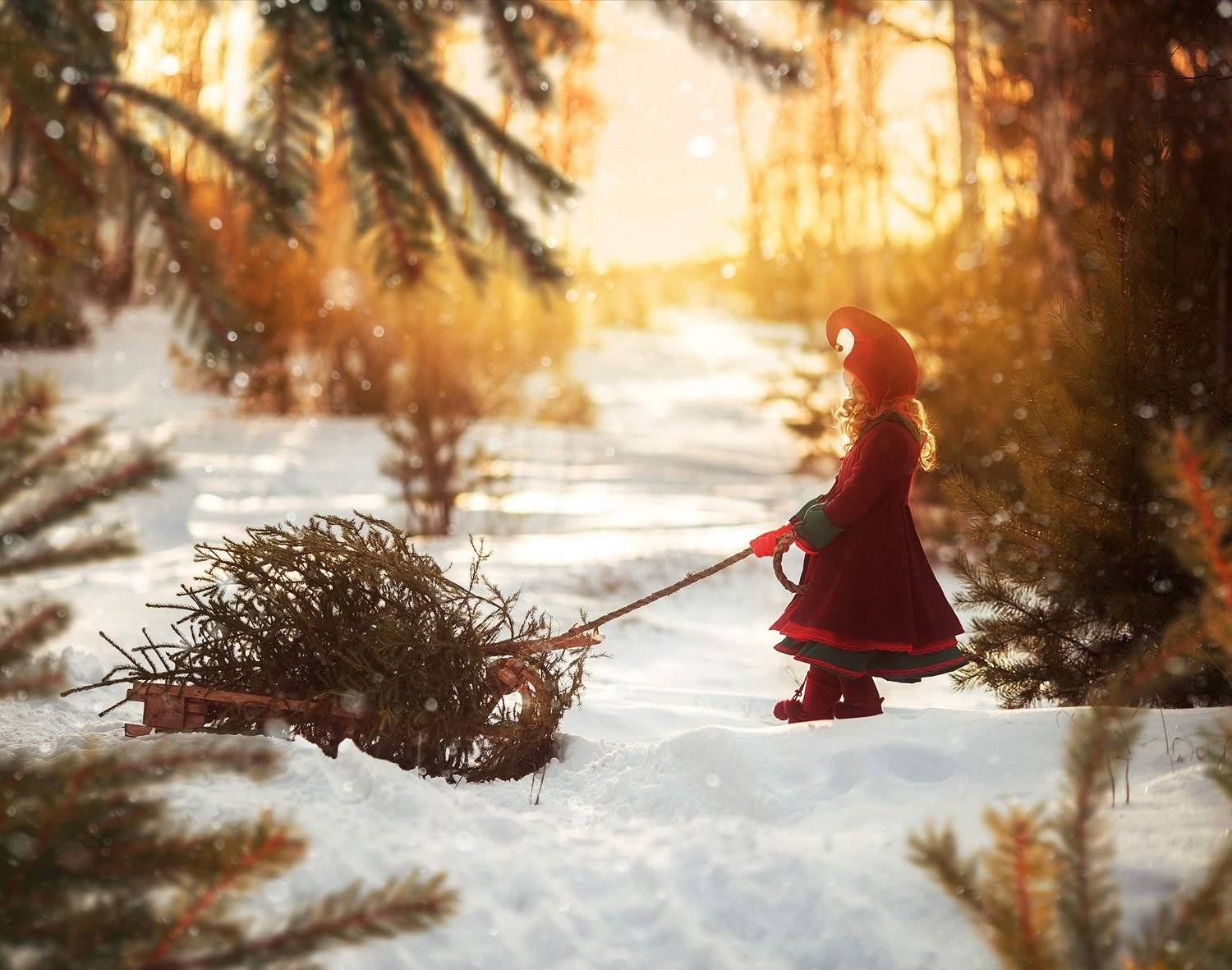 Один  день из жизни гномов