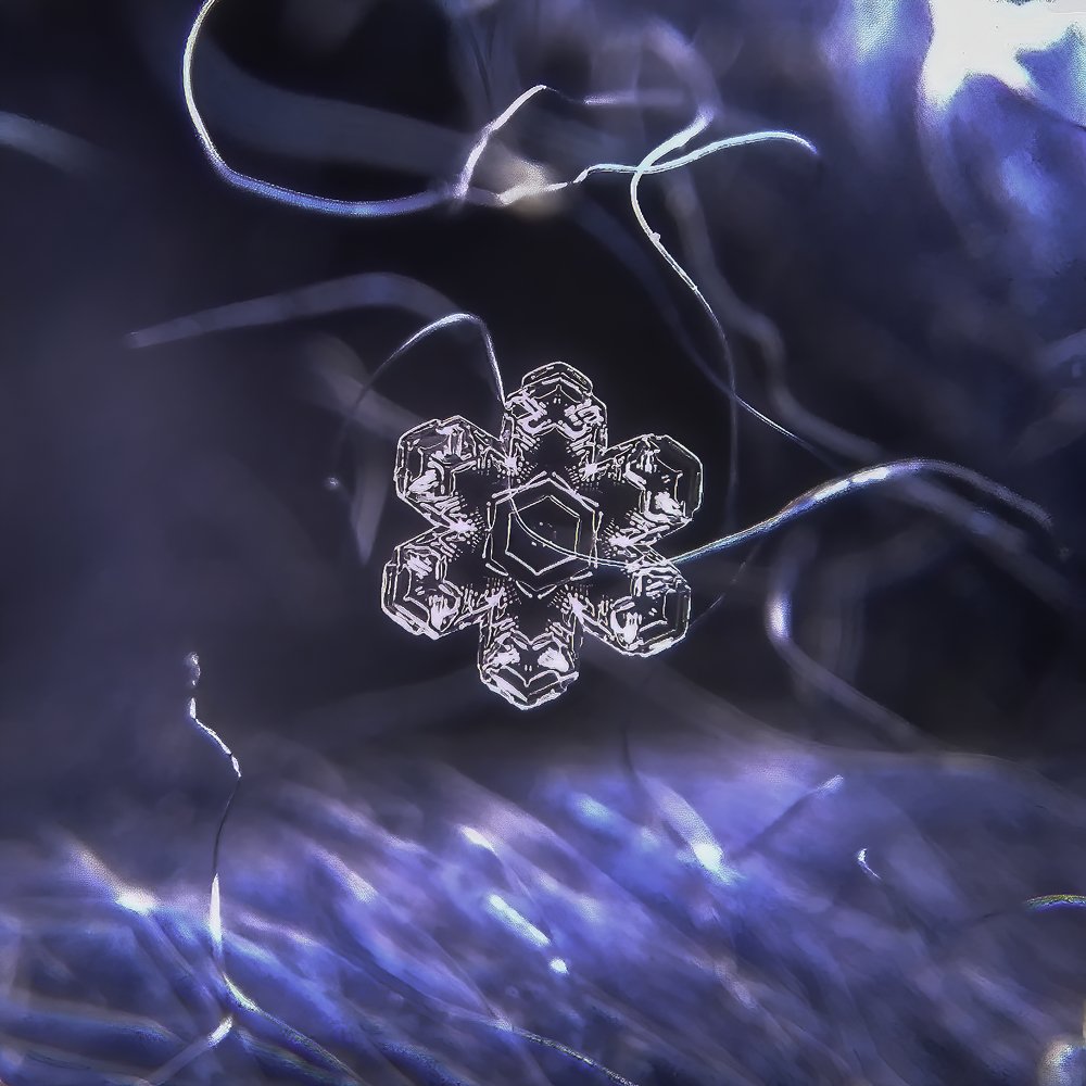 Photograph by Наталья