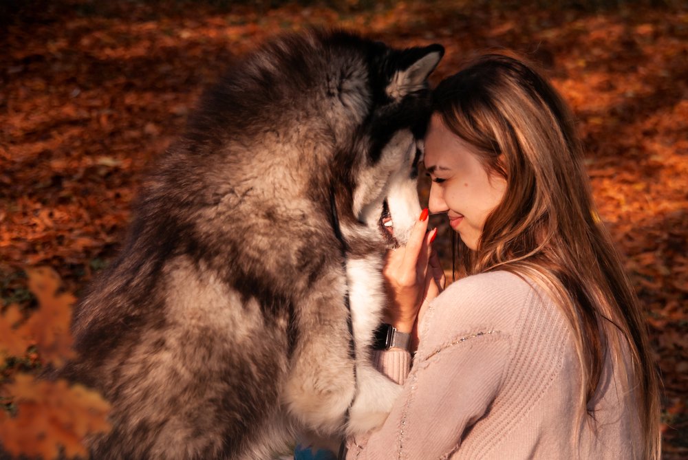 Photograph by Ирина Чиж