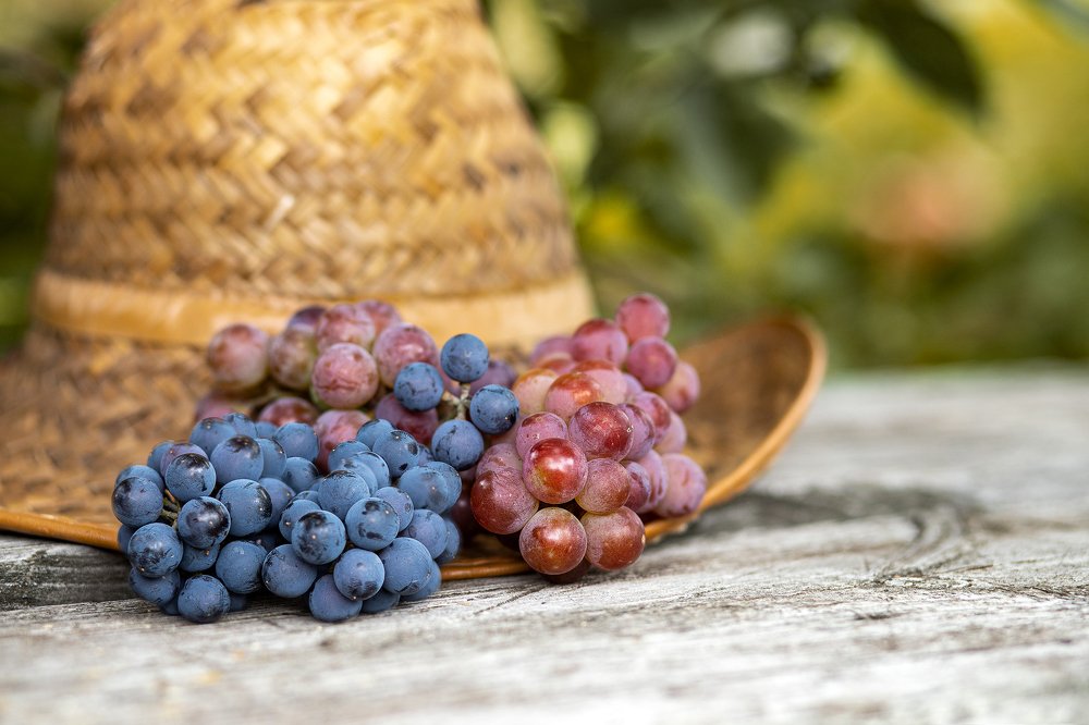 Photograph by Андрей Алсуфьев