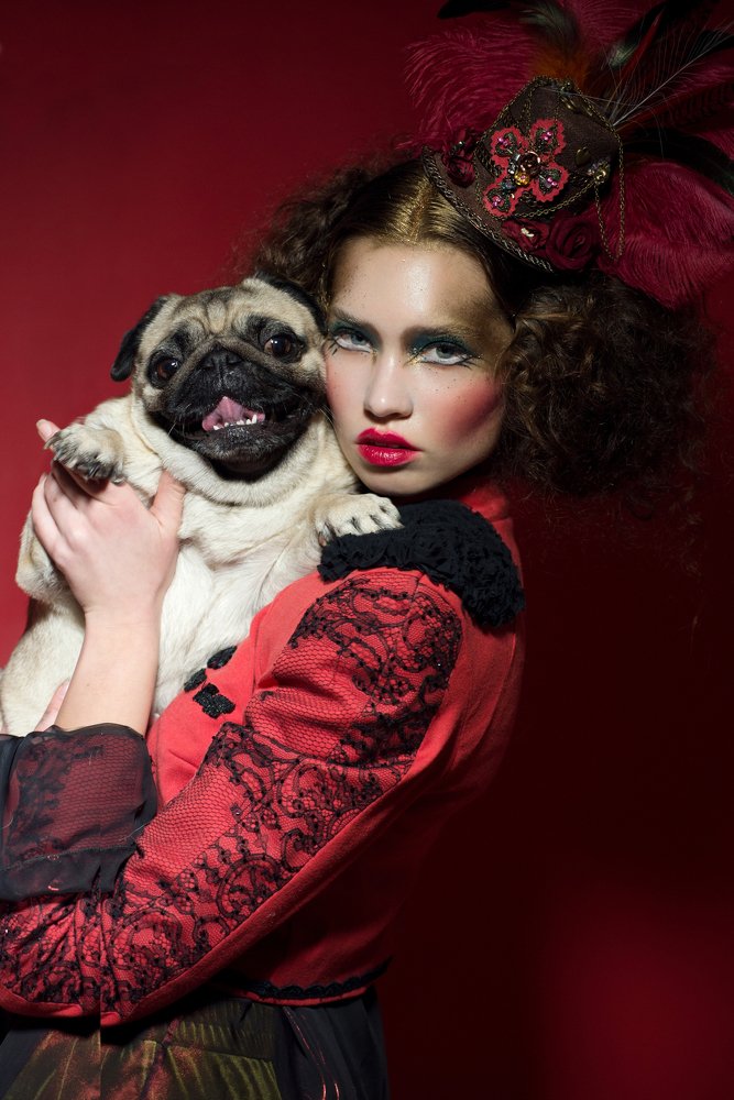 Фотография автора Александра Макаренко