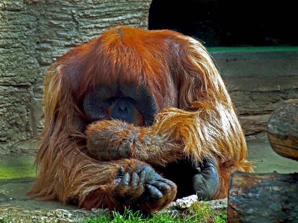 Photograph by Михаил Малец