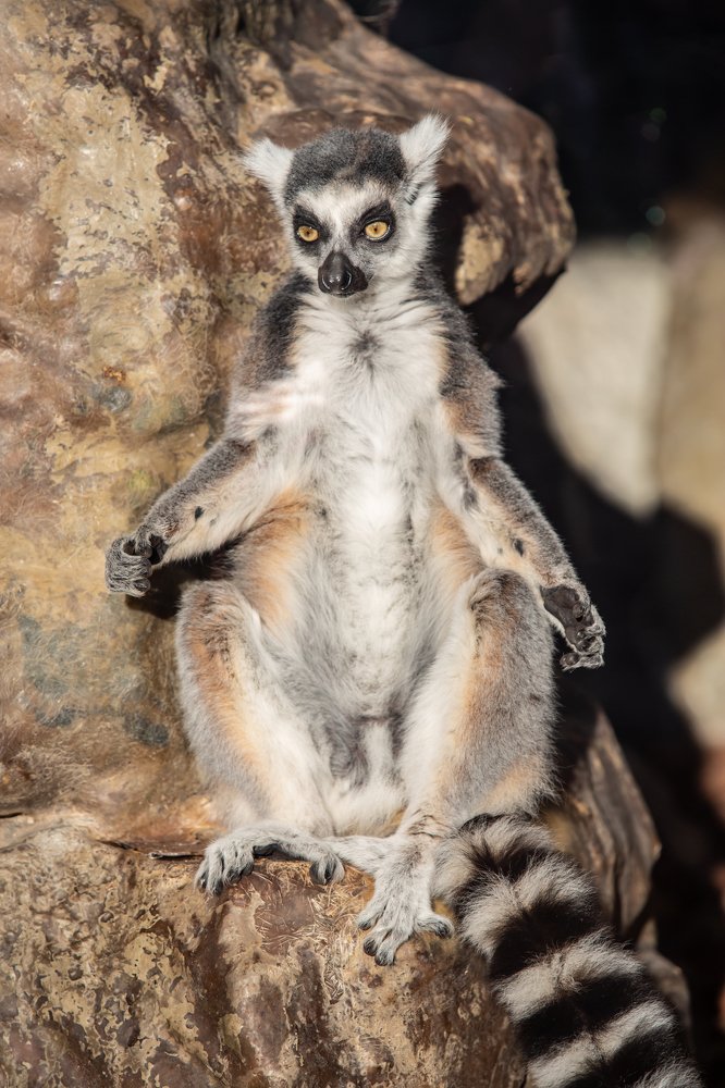 Photograph by Tatyana Sonkina