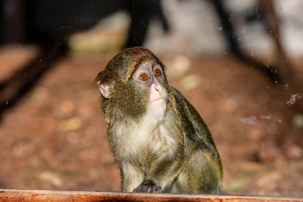 Photograph by Tatyana Sonkina