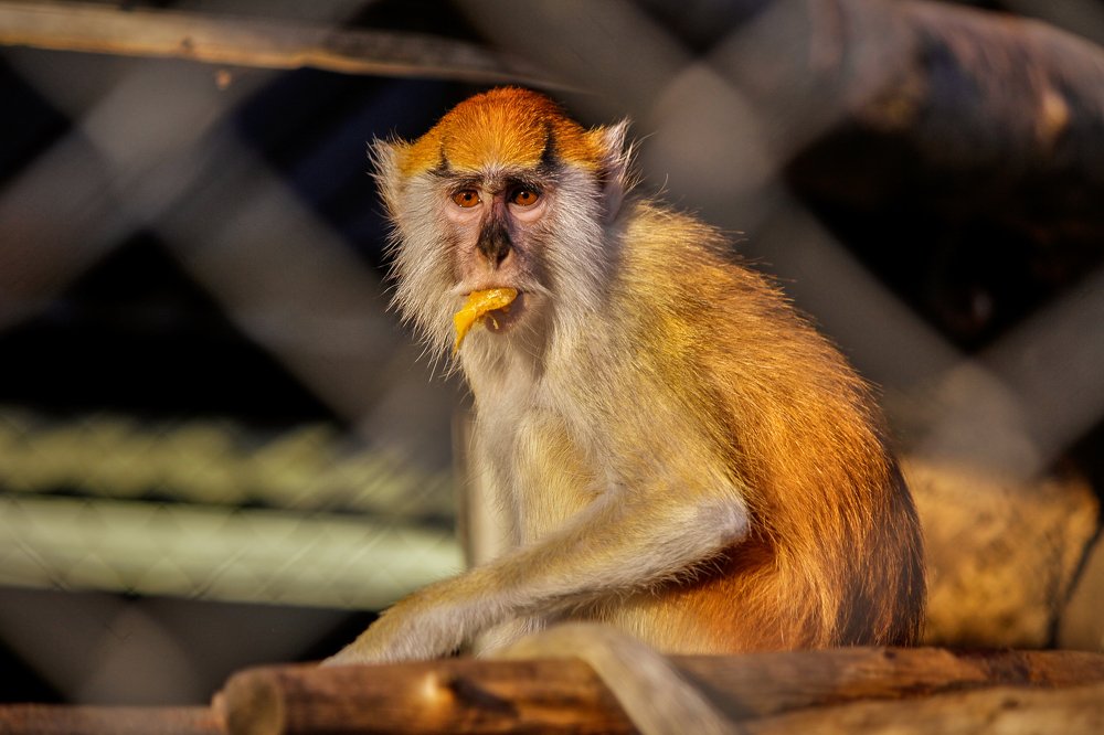 Photograph by Tatyana Sonkina