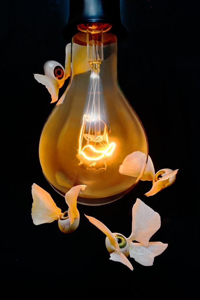 Photograph by Валерий Дорохов