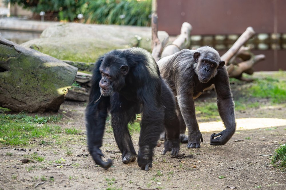 Photograph by Tatyana Sonkina