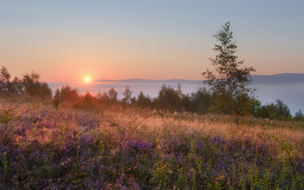 Туманный рассвет в предгорьях