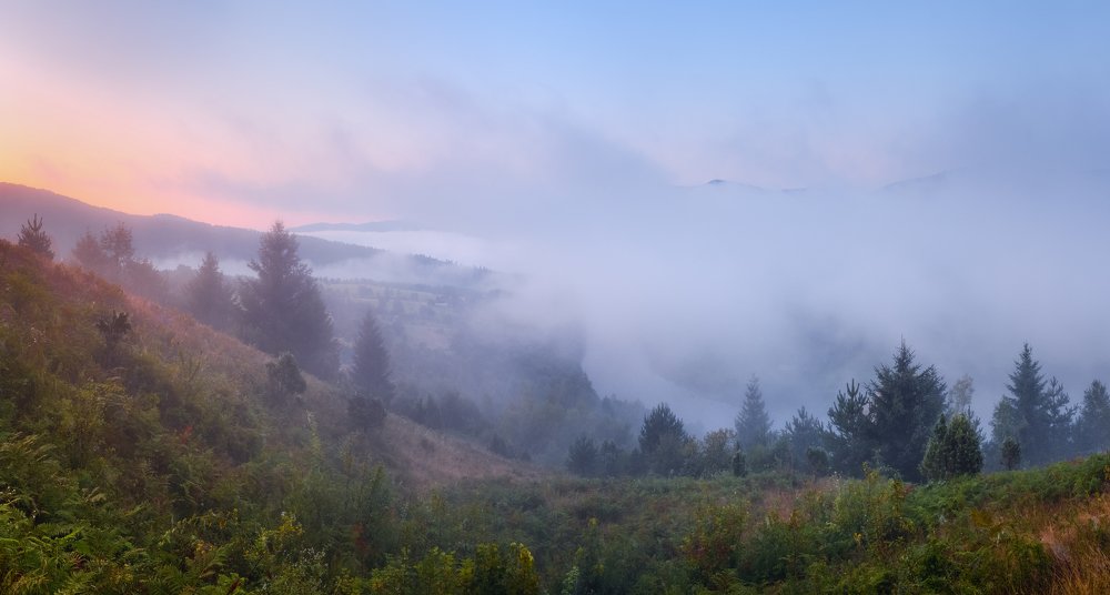 рассвет в тумане ..