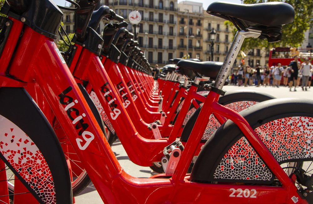 Photograph by Ricardo Pereira