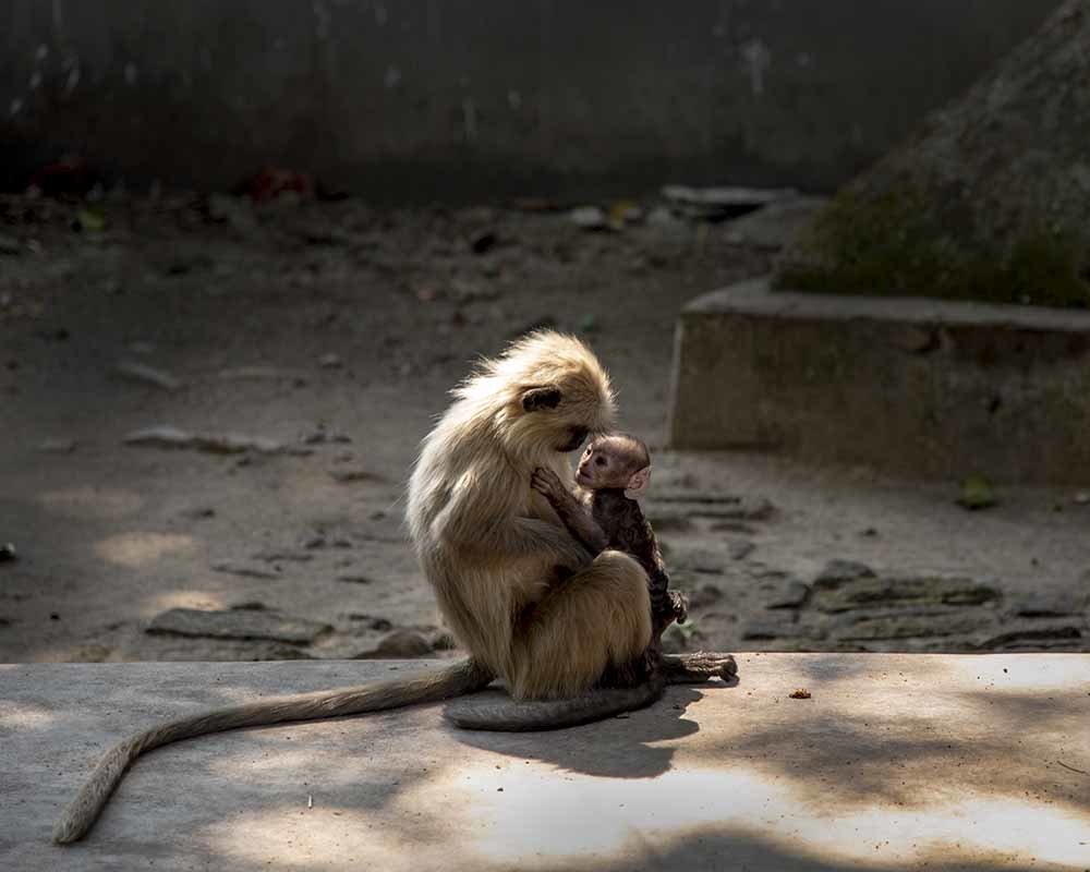 Photograph by AMLAN BISWAS
