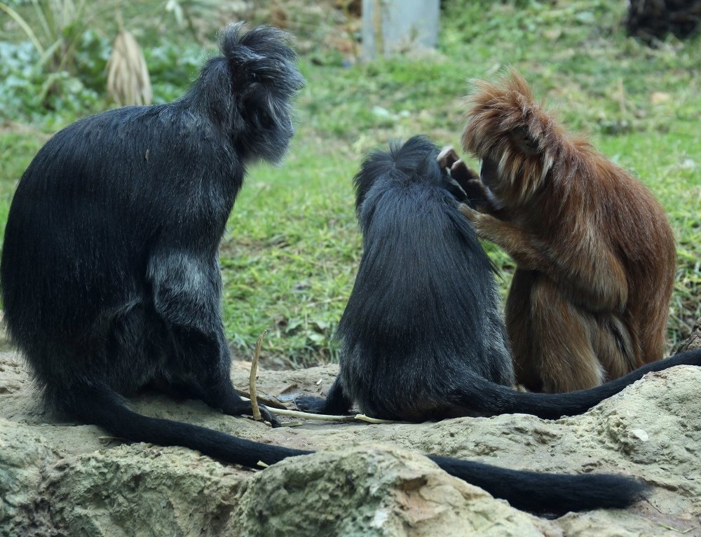 Photograph by Yelena Yakubov