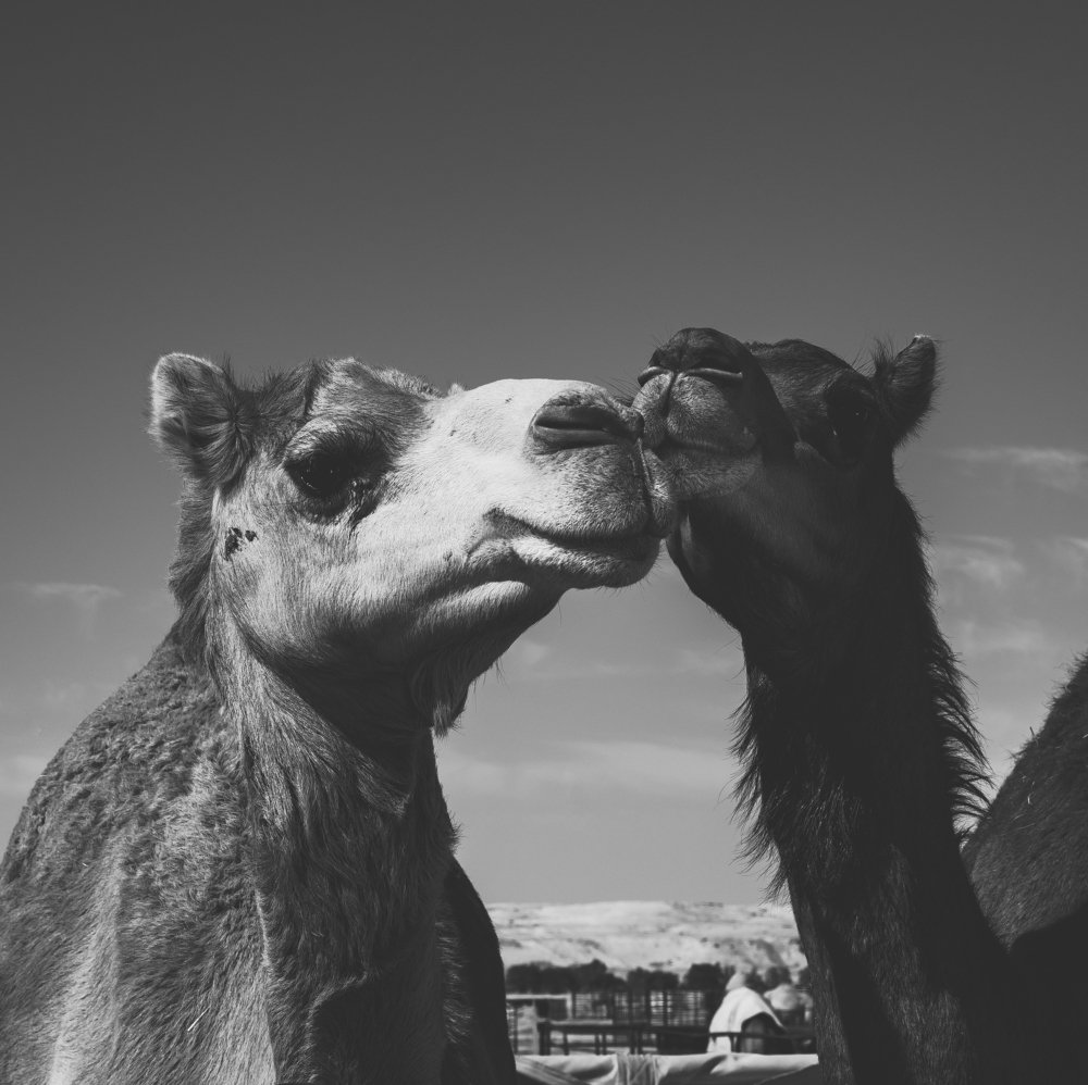 Photograph by Mathew Scaria