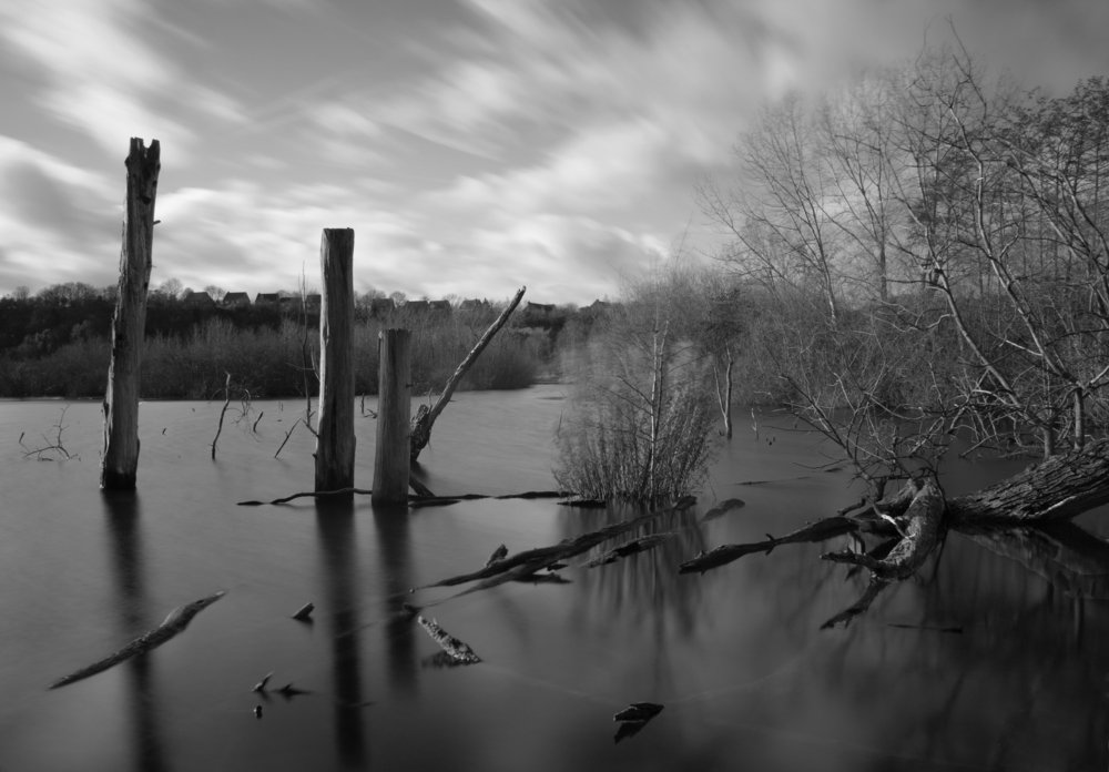 3 Dead Trees