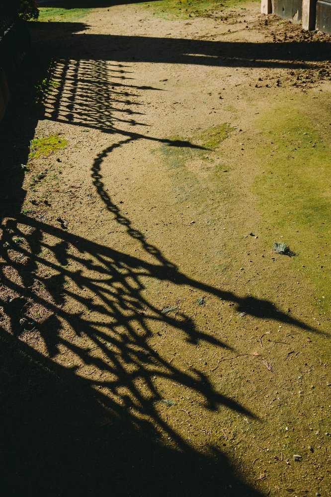 Photograph by Tatyana Sonkina