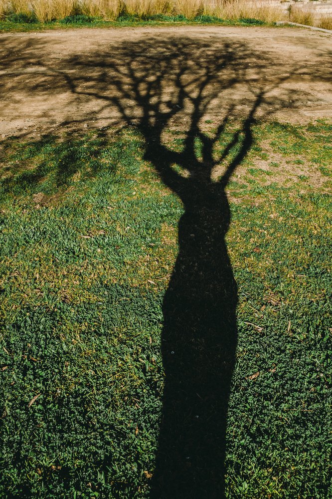 Photograph by Tatyana Sonkina