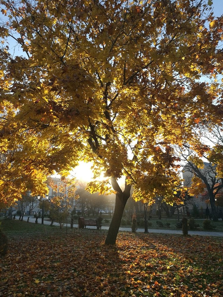 Photograph by Анатолий Пискалов