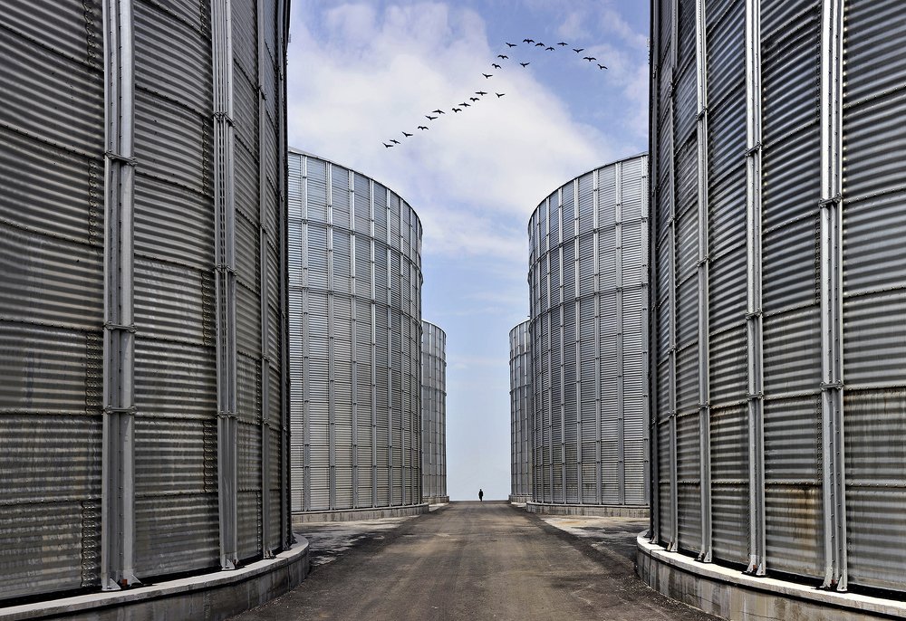 ЛЕТЯТ ПЕРЕЛЕТНЫЕ ПТИЦЫ...