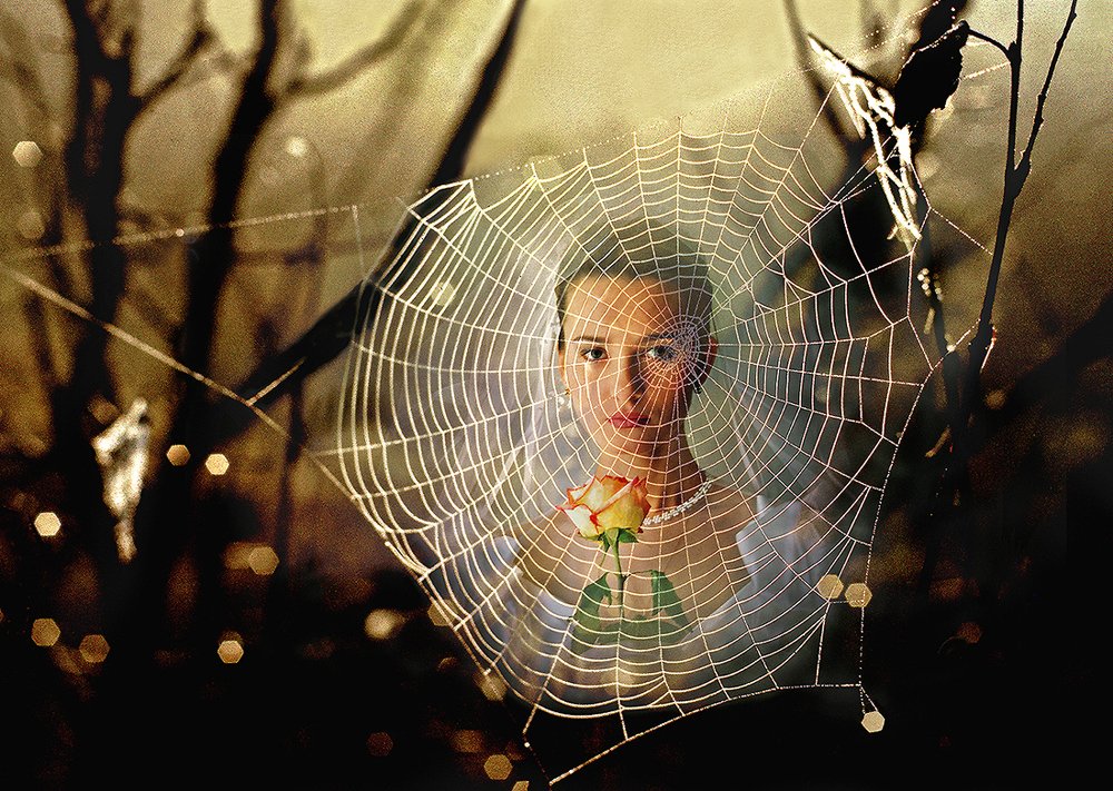 ПАУТИНА СВАДЬБЫ