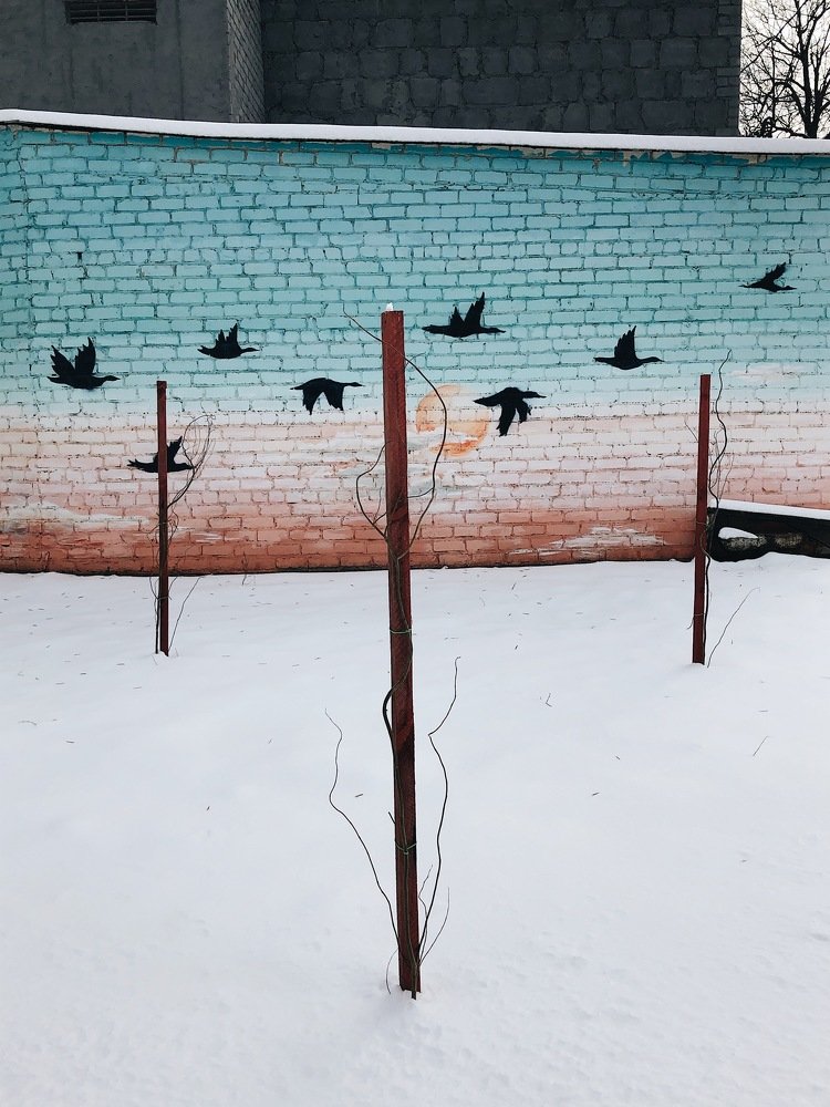 Photograph by Олег Скворцов