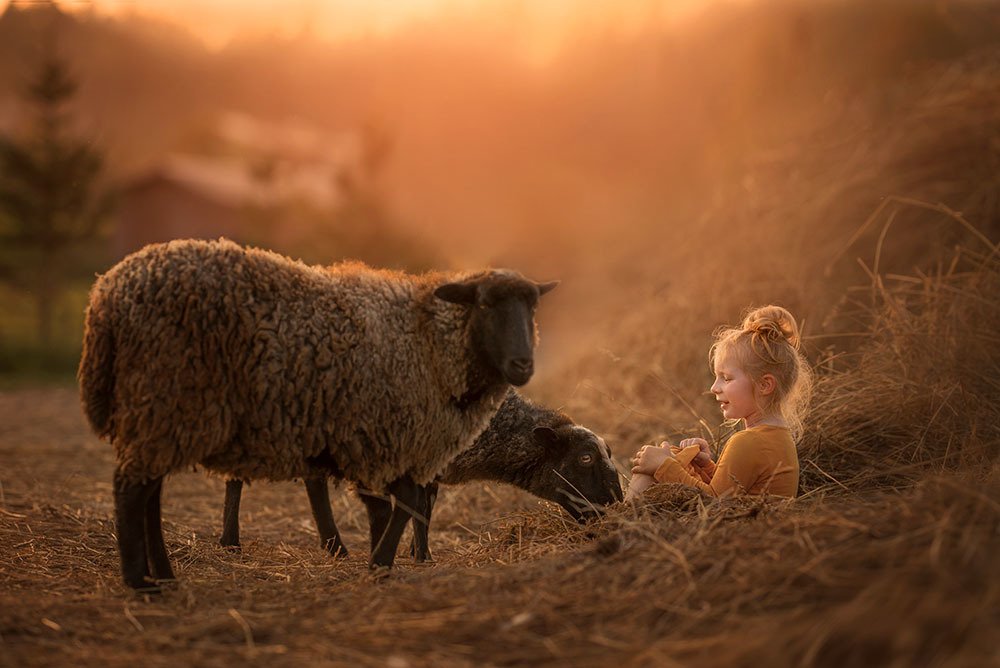 Photograph by Юлия Наумовец